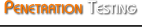 Penetration Testing