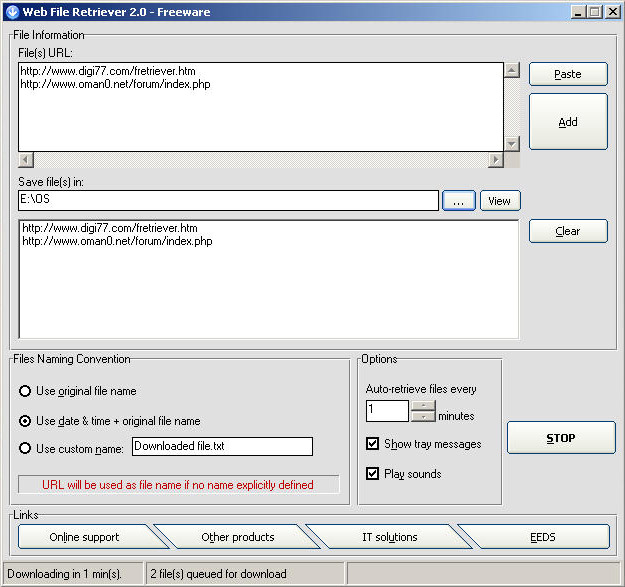 Web File Retriever screenshot