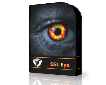 SSL Eye Protects You From Pris...